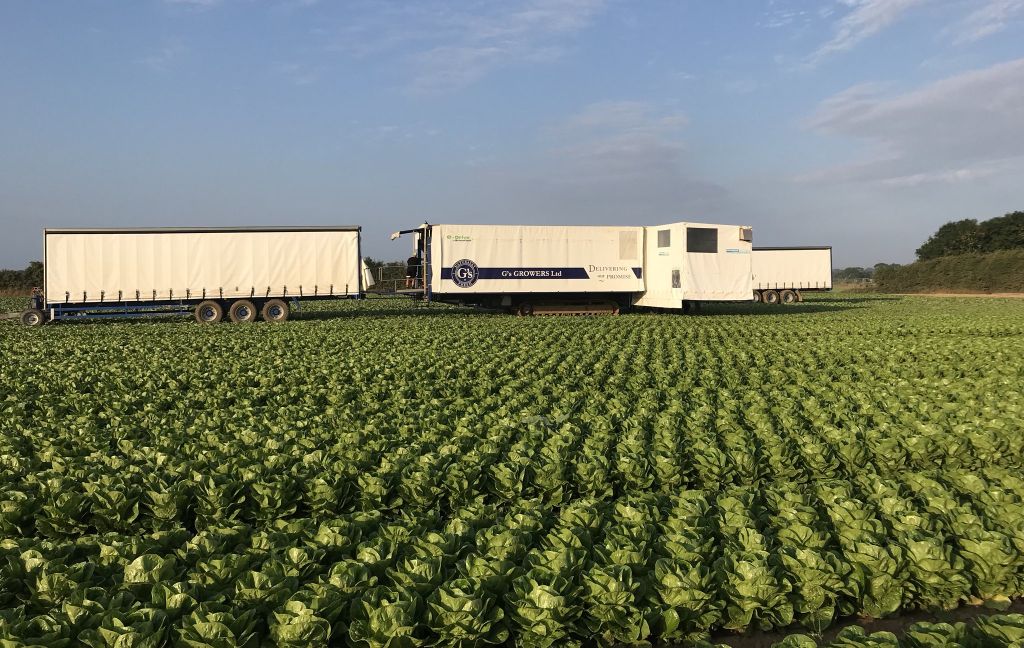 gs growers koronawirus praca slider