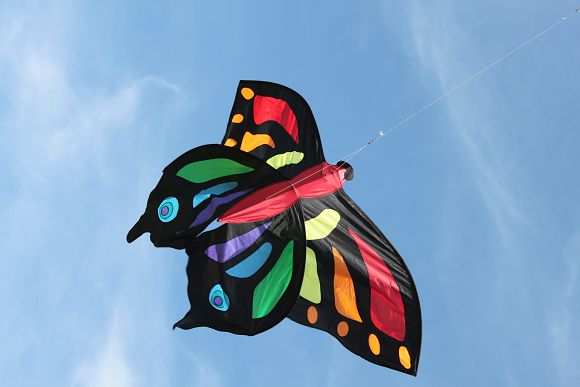 kite_festival_bedfordpl.com_5